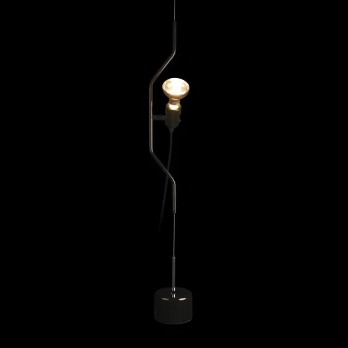 Светильник подвесной Parentesi 10346-1 Black LOFT IT без плафона 1 лампа, основание чёрное в стиле модерн на растяжку фото 4